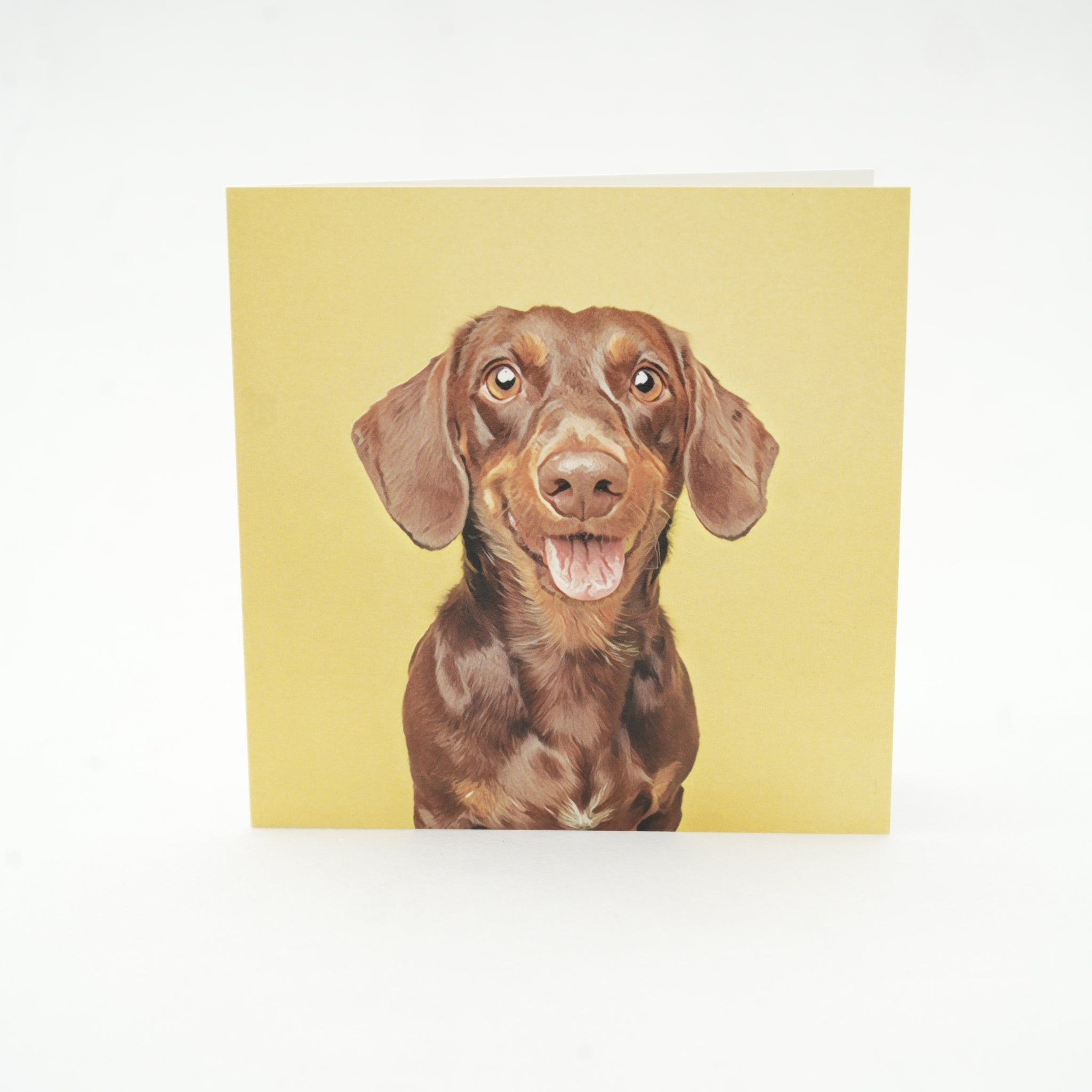 Snout - Harlow Yellow